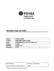 Reporte Final de Pozo 13-01-2009.pdf